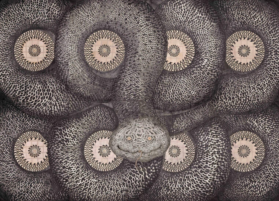 「宇宙蛇」2020 墨、透明水彩、キャンバス、アクリル、ペン、龍神水、金泥、あかし紙、吉祥麻紙 460×640cm (C)KANEKO Tomiyuki Courtesy of Mizuma Art Gallery