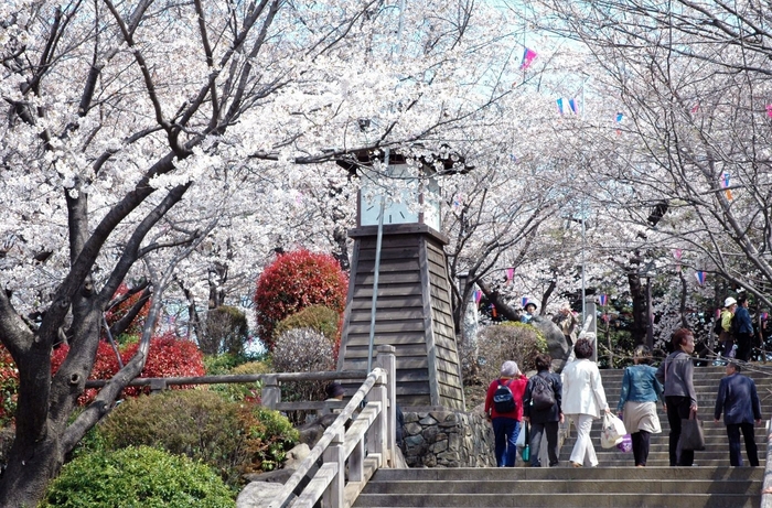 飛鳥山公園