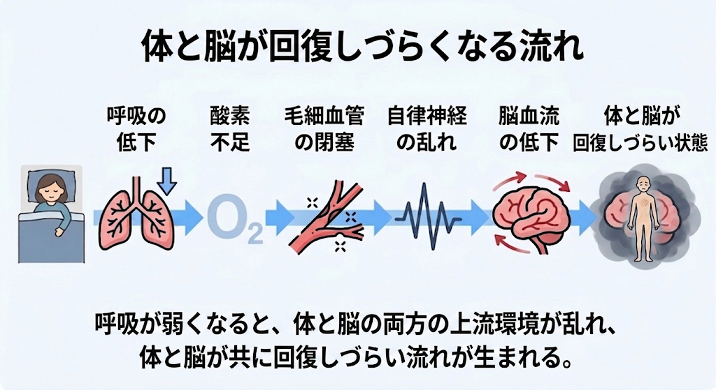 眠りづらさの正体──寝ても疲れが取れない理由｜シリーズ第12回　体と脳の劣化を防ぐ"改善線"