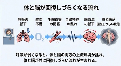 眠りづらさの正体──寝ても疲れが取れない理由｜シリーズ第12回　体と脳の劣化を防ぐ"改善線"