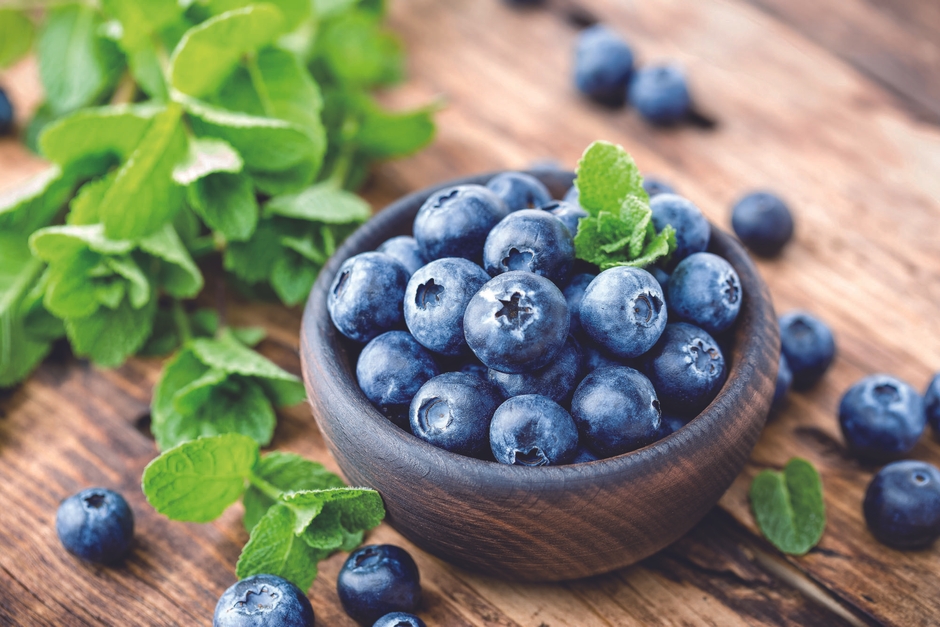 北欧産ビルベリー