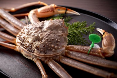 幻といわれる間人蟹のコースは、蟹半身と但馬牛が一度にお愉しみいただけます