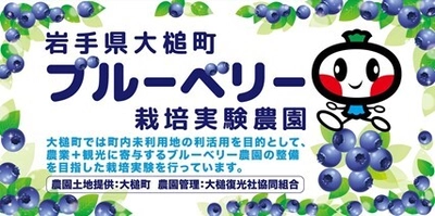 岩手県大槌町に新しい産業を！ 復興に向けたブルーベリー栽培の実証実験開始！ 11月5日(火)に植栽式を開催