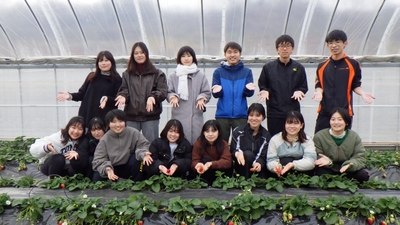 近大ICTイチゴを栽培している農学部生
