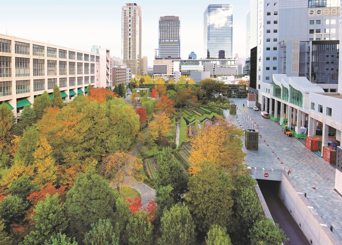 「新・里山」の秋の紅葉風景