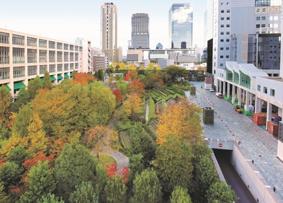 「新・里山」の秋の紅葉風景
