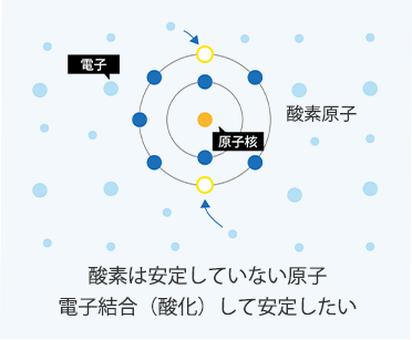 細胞との酸化結合を抑制