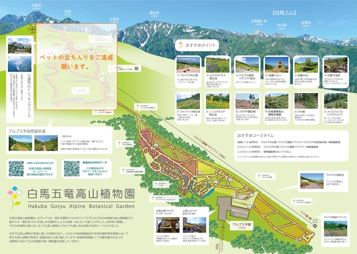 ゴンドラ山頂駅、白馬五竜高山植物園内はどこでもペットとご一緒にお楽しみいただけます。