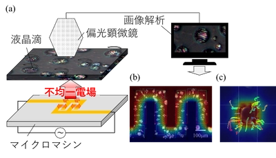 小さな液晶滴が微細電極周囲の電場を可視化！～設計時のリアルタイム電気特性評価とフィードバックにより、身の回りにあふれるマイクロマシンのコスト削減・寿命延長に期待～