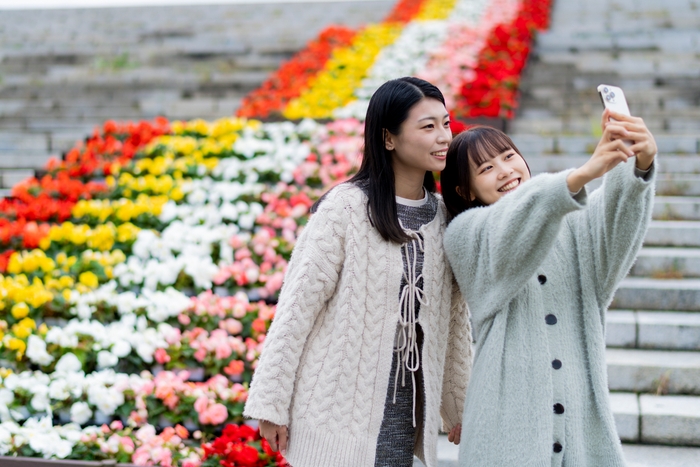 大階段花壇（イメージ）