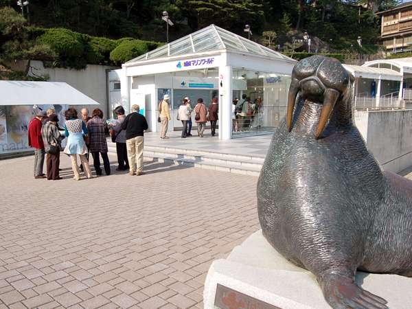 【城崎マリンワールド】イルカ・アシカショーが人気の体験型水族館