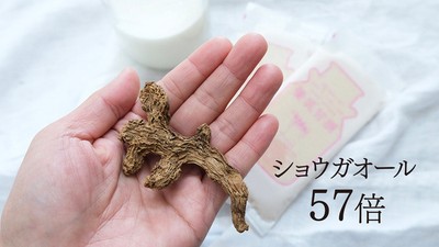 ショウガオール57倍