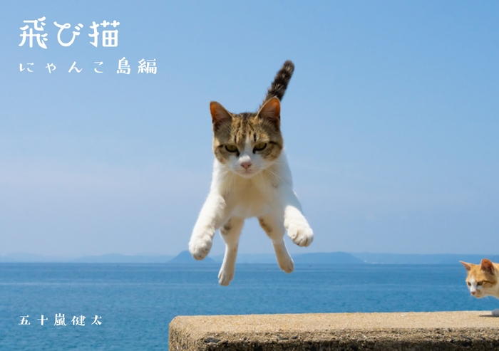 飛び猫にゃんこ島編