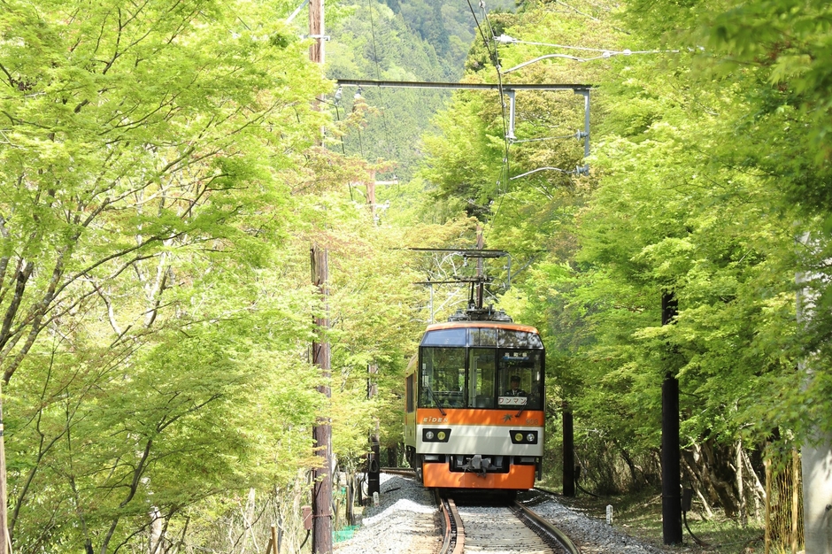 市原駅~二ノ瀬駅間「青もみじのトンネル」