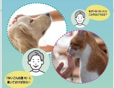 イメージ写真
