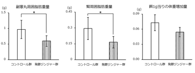図 内臓脂肪重量と餌1g当たりの体重増加量の比較(*:p<0.05)