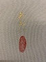 名入れ画像