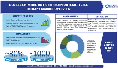 世界のキメラ抗原受容体(CAR-T)細胞療法市場は、2022年から2031年の間に約30%のCAGRによる成長を目撃する。世界中でがん症例を増やし、市場の成長を牽引
