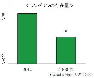 冬虫夏草とルバーブに皮膚免疫を担うランゲルハンス細胞の 生存維持に重要な表皮細胞の「RANKL」を増やす効果を発見　 日本生薬学会第67回年会にて発表