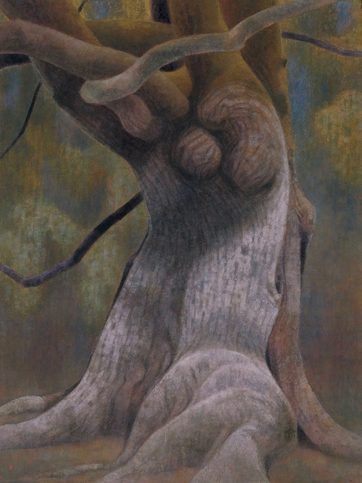 山口華楊「樹」 1963年(昭和38)第6回新日展 京都市立芸術大学芸術資料館蔵