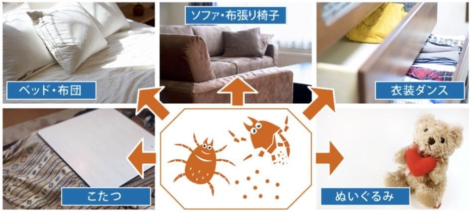 ダニが発生しやすい場所