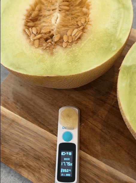 渡辺さんの渥美の陽光-HIKARI-