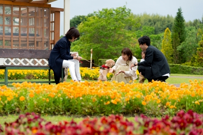 虹の花壇