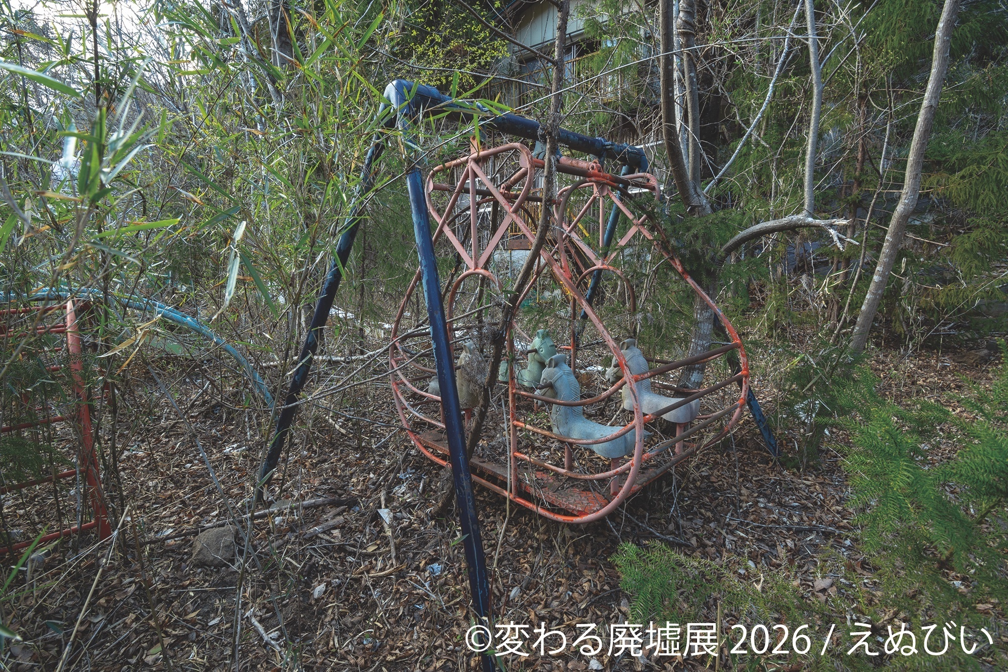 展示作品:えぬびい