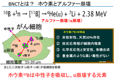 BNCTとは？ホウ素とアルファー崩壊