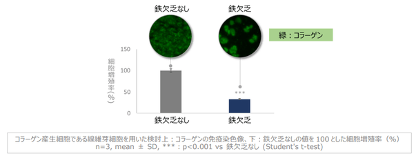 図1　鉄欠乏によるコラーゲン産生細胞の増殖抑制とコラーゲンの減少