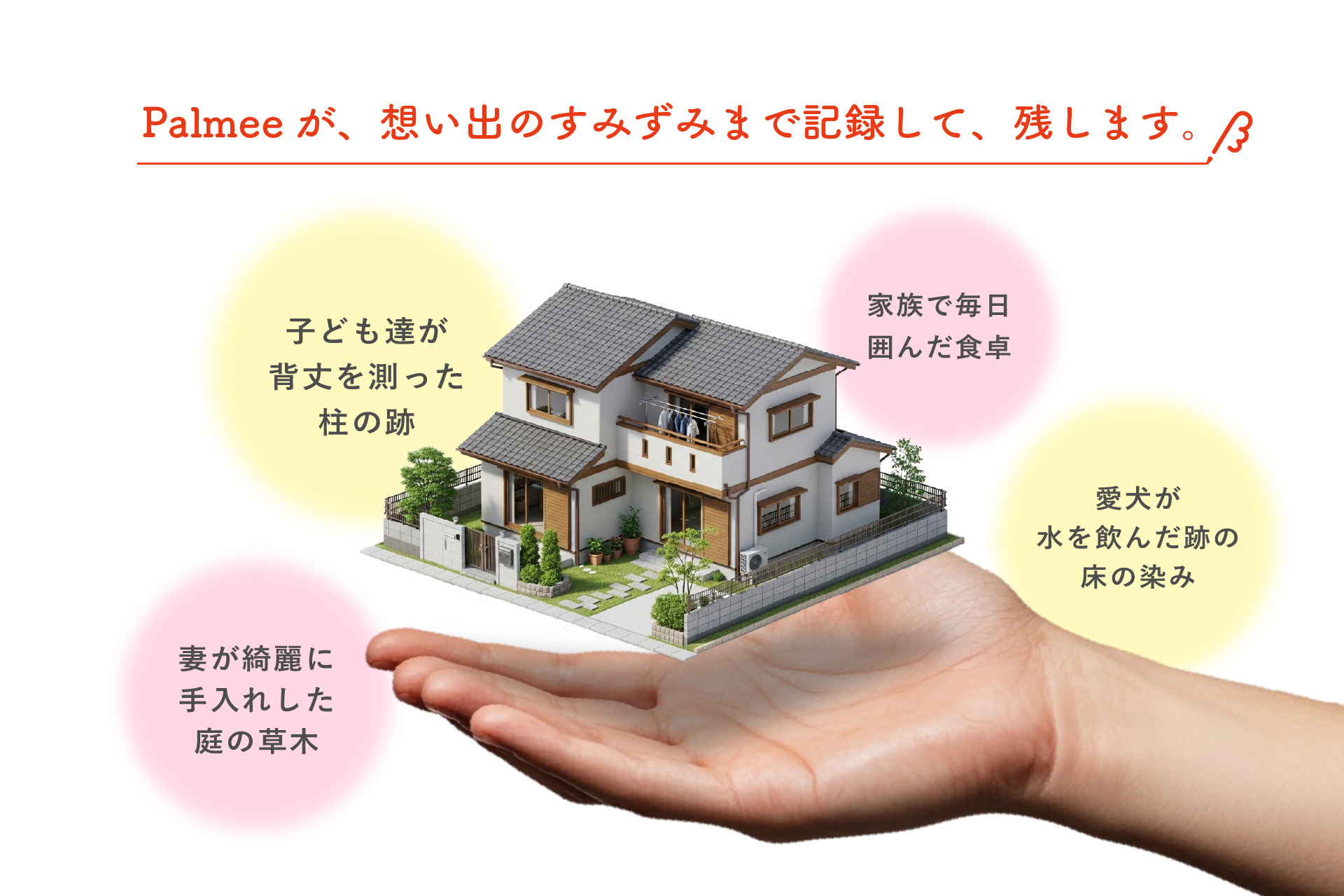 Palmeeが、想い出のすみずみまで記録して、残します。