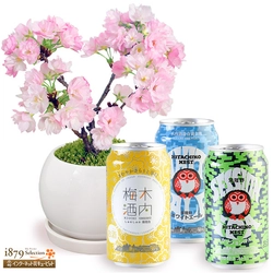 花キューピットのおうち花見セットで乾杯！　桜とお酒のセットがおすすめ