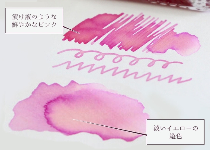 『岩下の新生姜万年筆インク』筆記イメージ