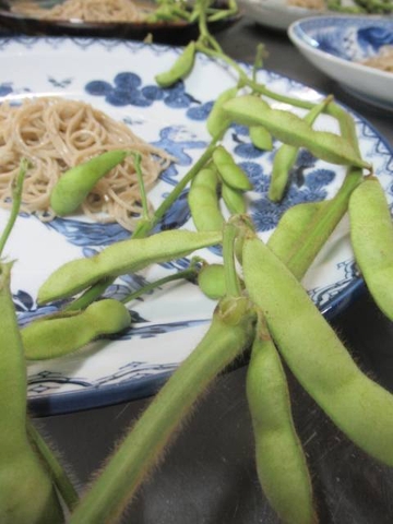 料理6