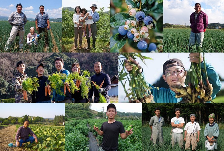 旬の野菜・果物だけを使用