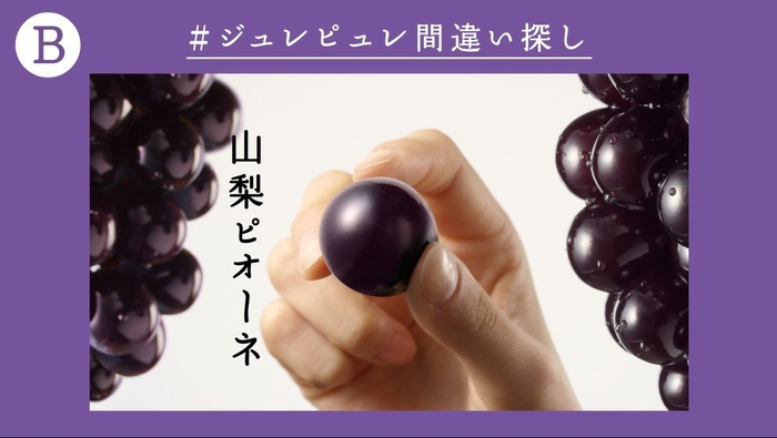 超難問 #ジュレピュレ間違い探し B(間違い動画)