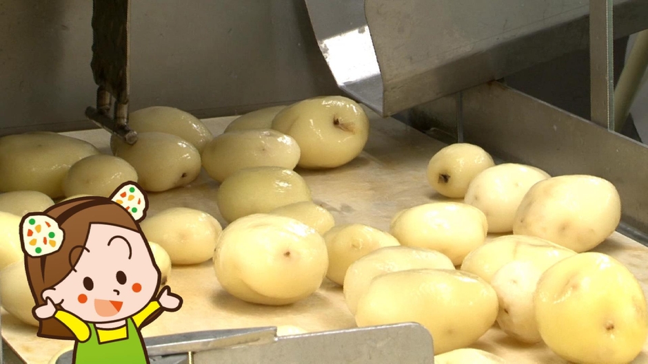 皮をむかれたじゃがいもがたくさん!