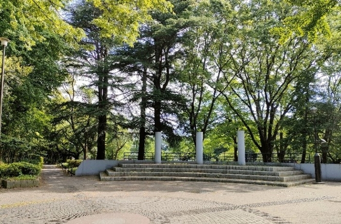 都立砧公園　出会いの広場（ステージ）