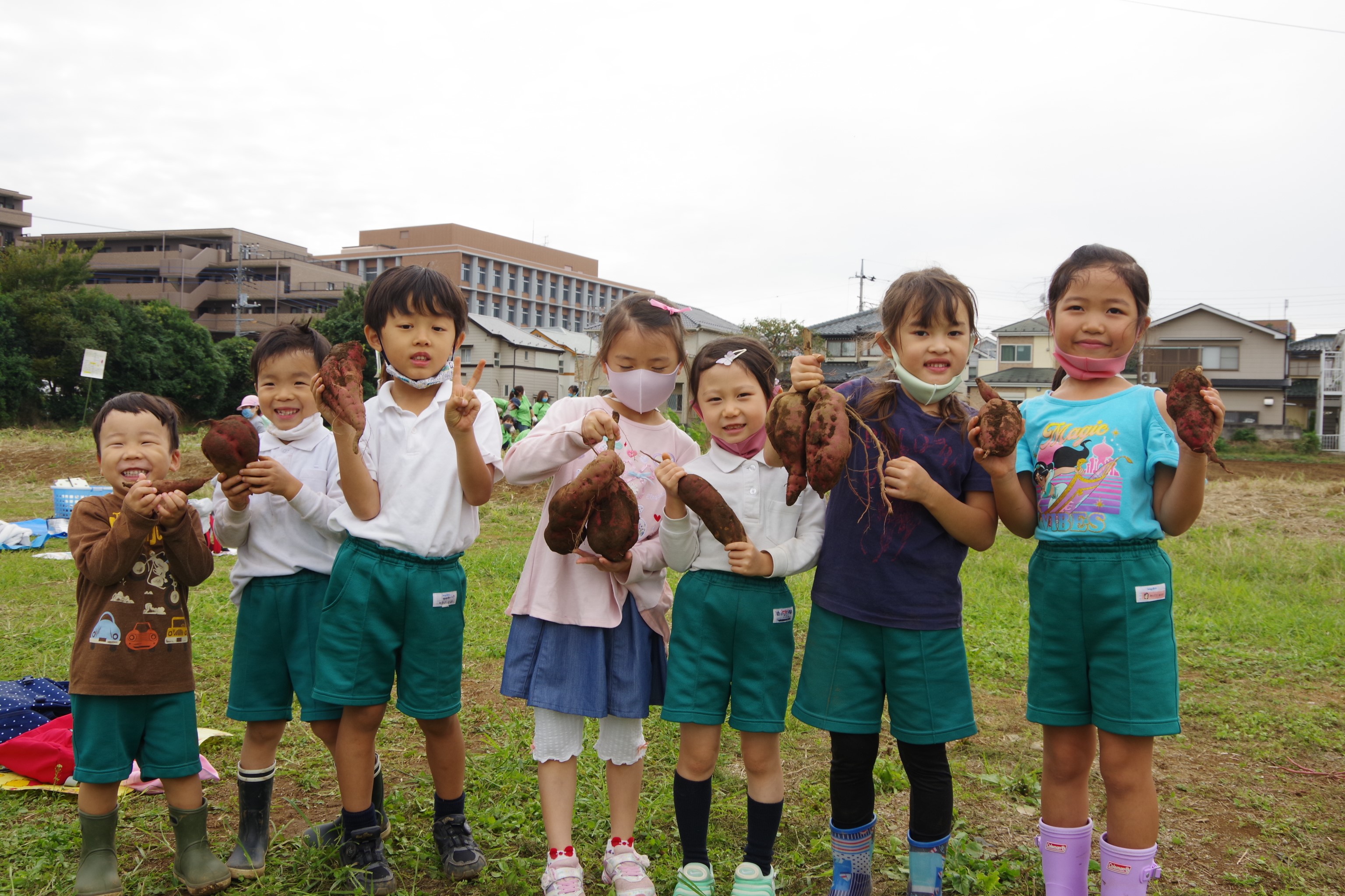 広大な自然環境を備える麗澤幼稚園ならでは。落ち葉拾いから調理まで同じキャンパスで　 「やきいもパーティー」実施