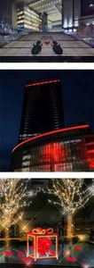 (上)シャドウグラフィック (中)Red Lighting (下)水景イルミネーション『Red-Heart-Gift』