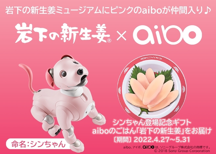 岩下の新生姜×aibo