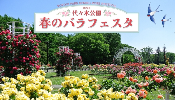 いつ来ても、代々木公園だから無料で気軽に楽しめる。