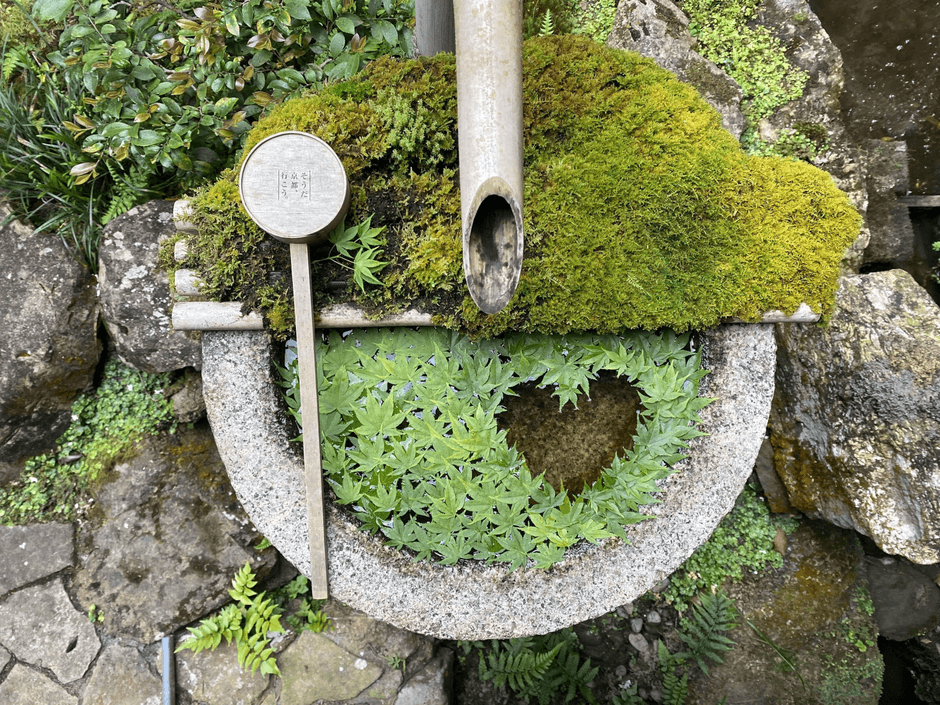 季節の花手水2
