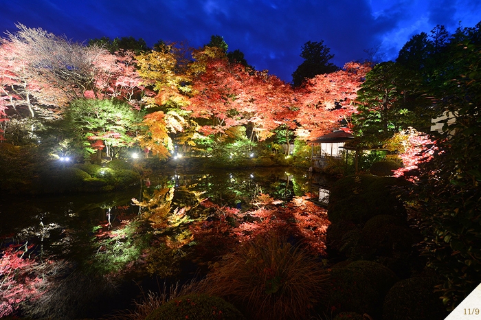 逍遥園ライトアップ(夜)