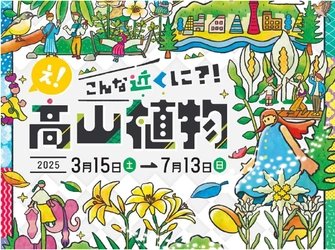 【六甲高山植物園】新イベント開催決定！ 憧れの高嶺の花々に出会える 「え！こんな近くに？！高山植物」展