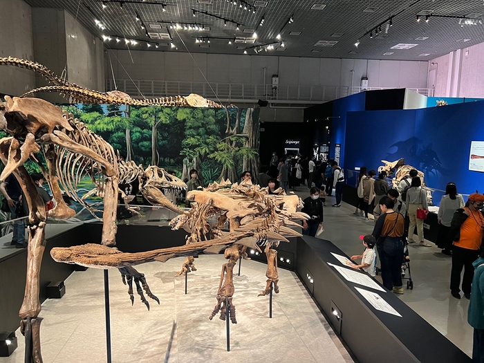 展示の目玉となっているトゲトゲの鎧竜類「ズール・クルリヴァスタトル」＝中央＝（東京・国立科学博物館）