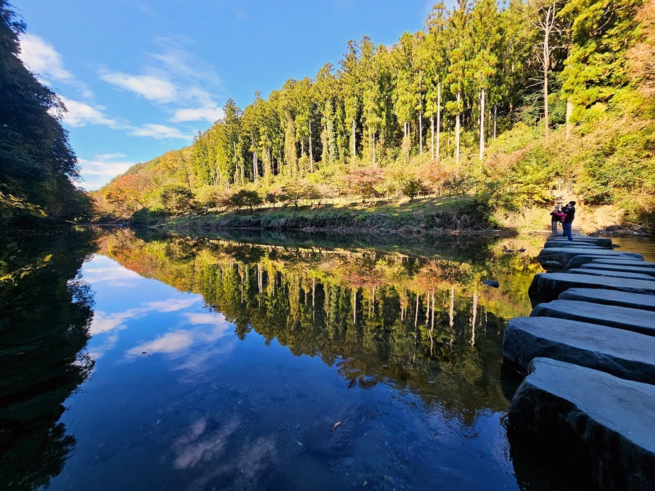 飛び石と水面に映る景色
