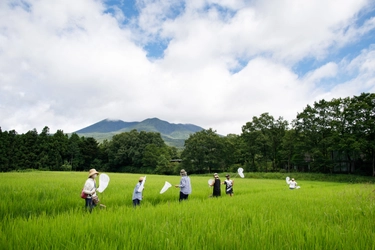 【リゾナーレ那須】～第1回「田植え」から第3回「観察」まで～「お米の学校2021」プロジェクト報告