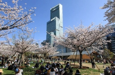天王寺公園エントランスエリア「てんしば」 ２０１９年度の年間入園者数は約５００万人に ～昨年度に引き続き、過去最多を更新しました～