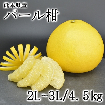 熊本県産柑橘「パール柑」
